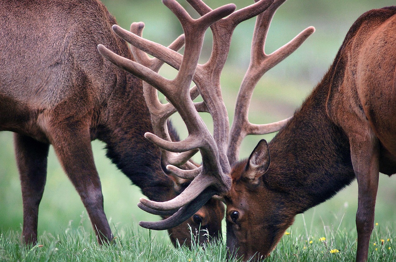 lugares para visitar en colorado