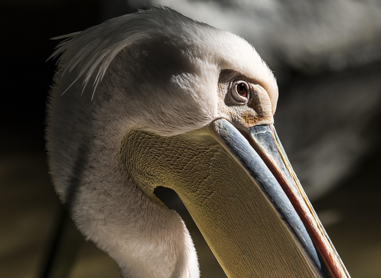lugares para visitar en florida